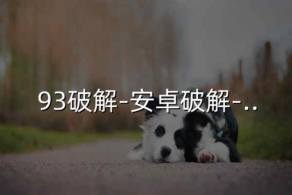 93破解-安卓破解-原创软件-技术资源分享-www.93pojie.com - 官网预览