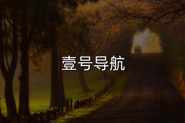 壹号导航 - 官网预览