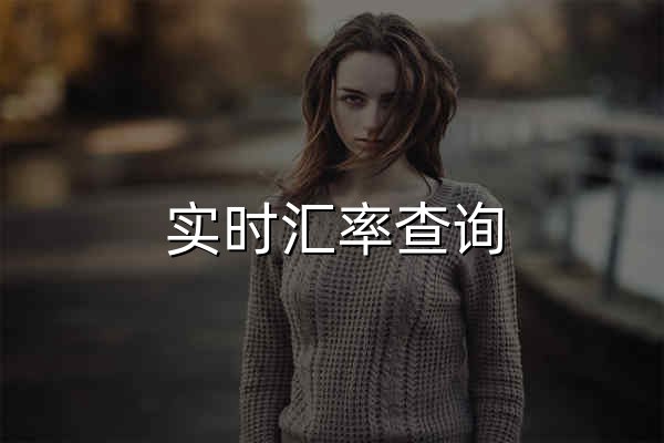 实时汇率查询 - 官网预览