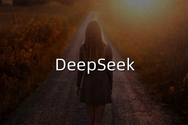 DeepSeek - 官网预览